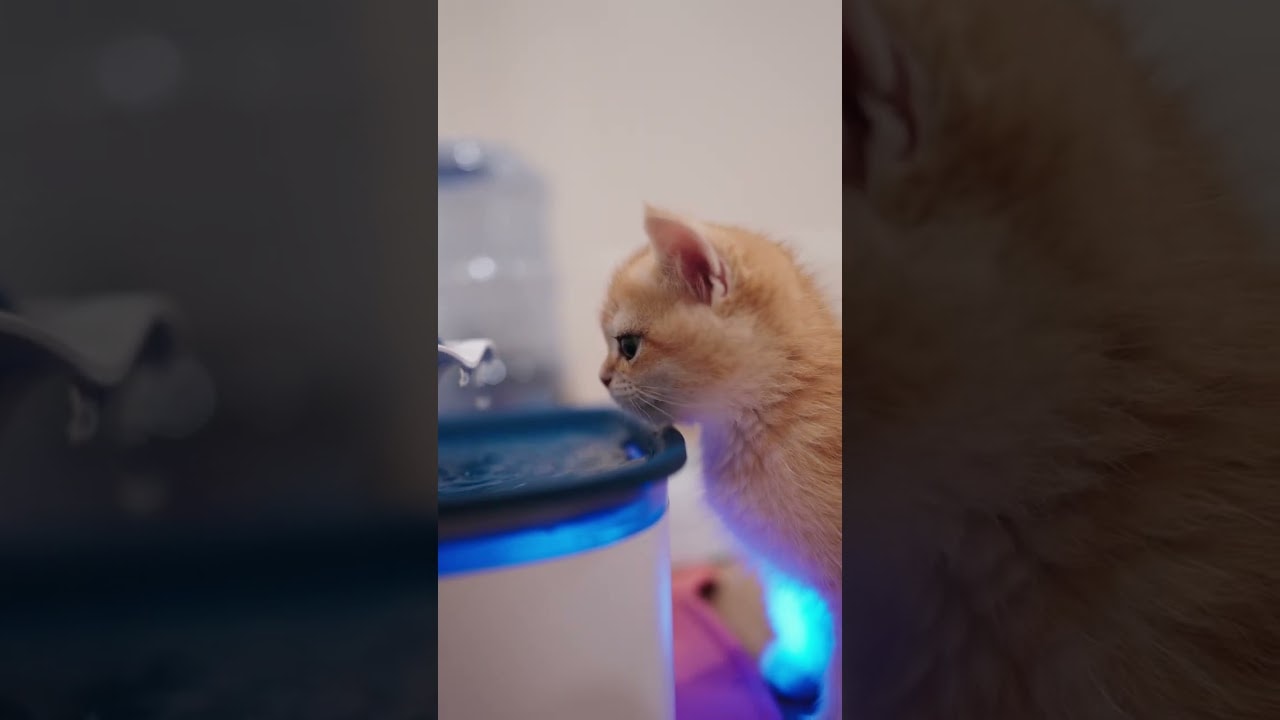 Amber Takes Hydration Very Seriously