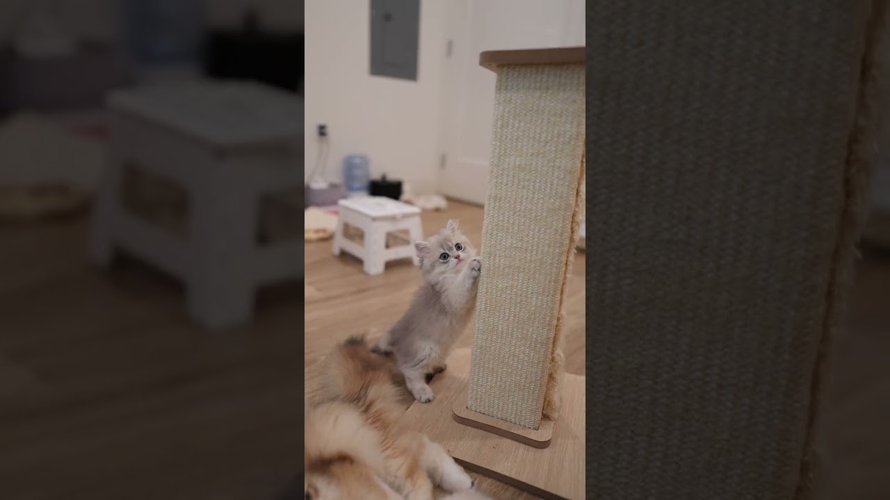 those big pretty eyes