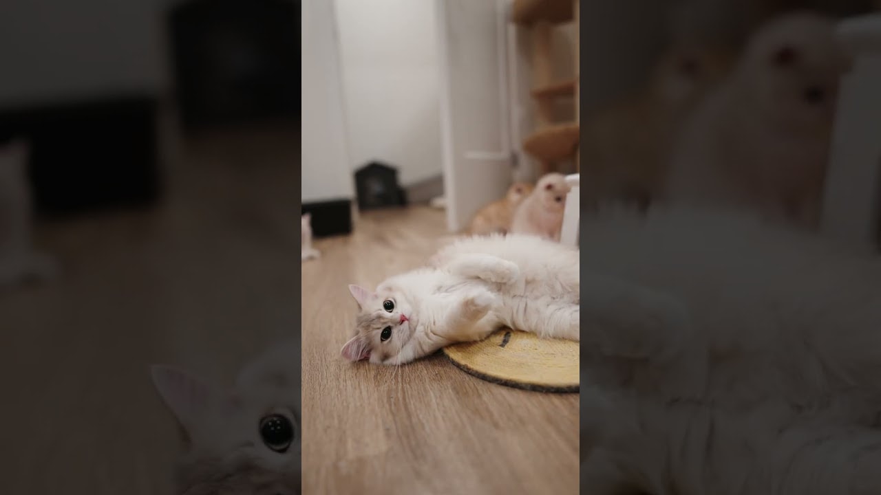 Getting sleepy