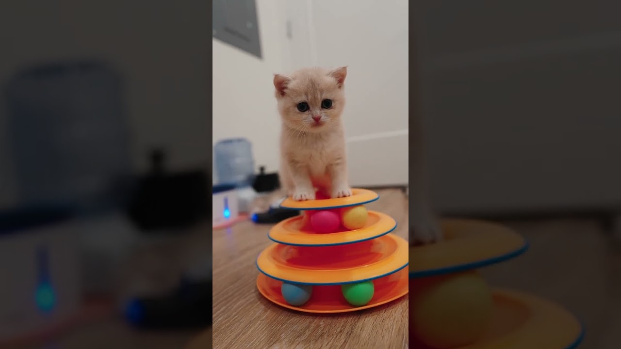 Nova: "A little help here?"