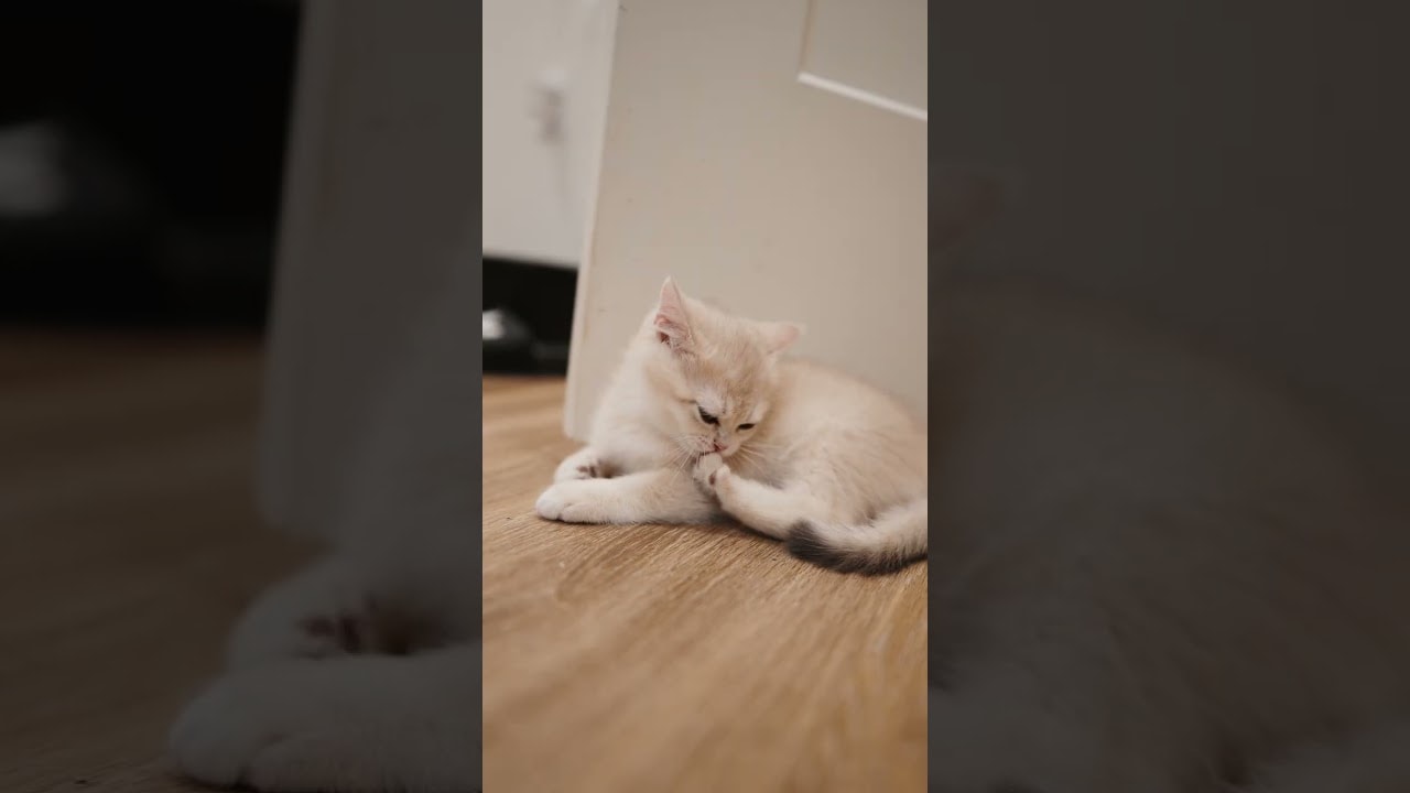 serious foot cleaning