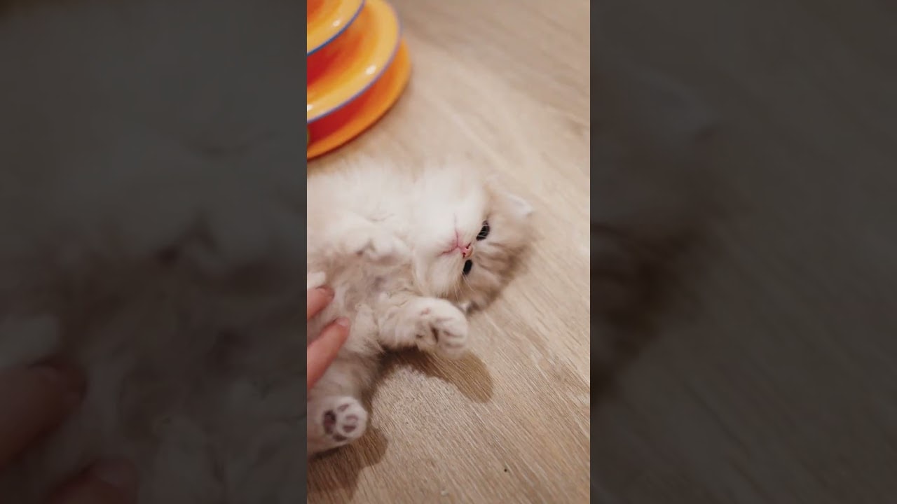Cosmo knows exactly how to melt my heart