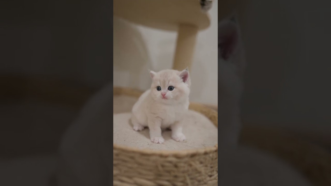 curious little baby