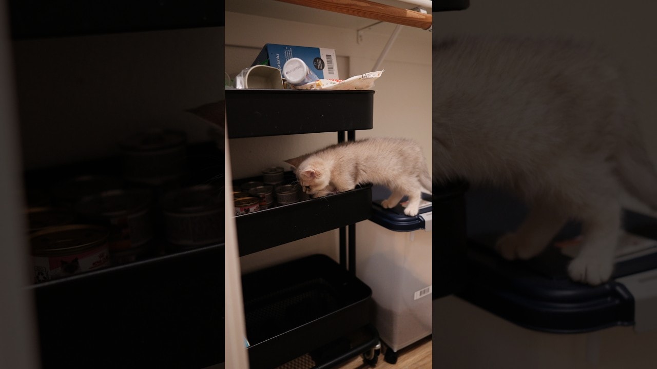he found the treasure