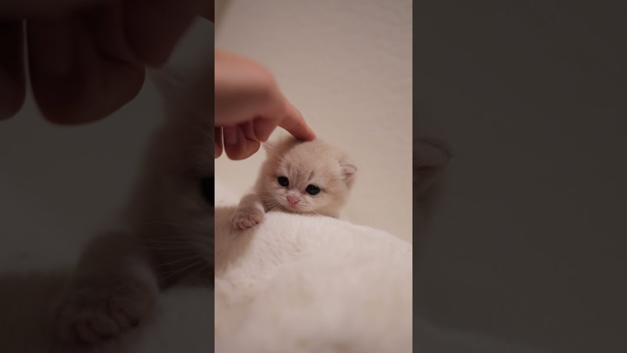 Too precious 🥹💕