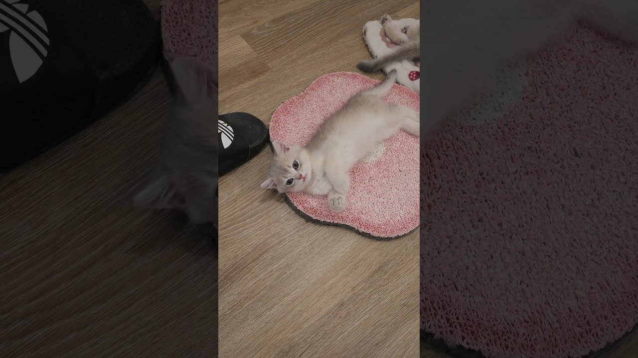 caught him being cute again