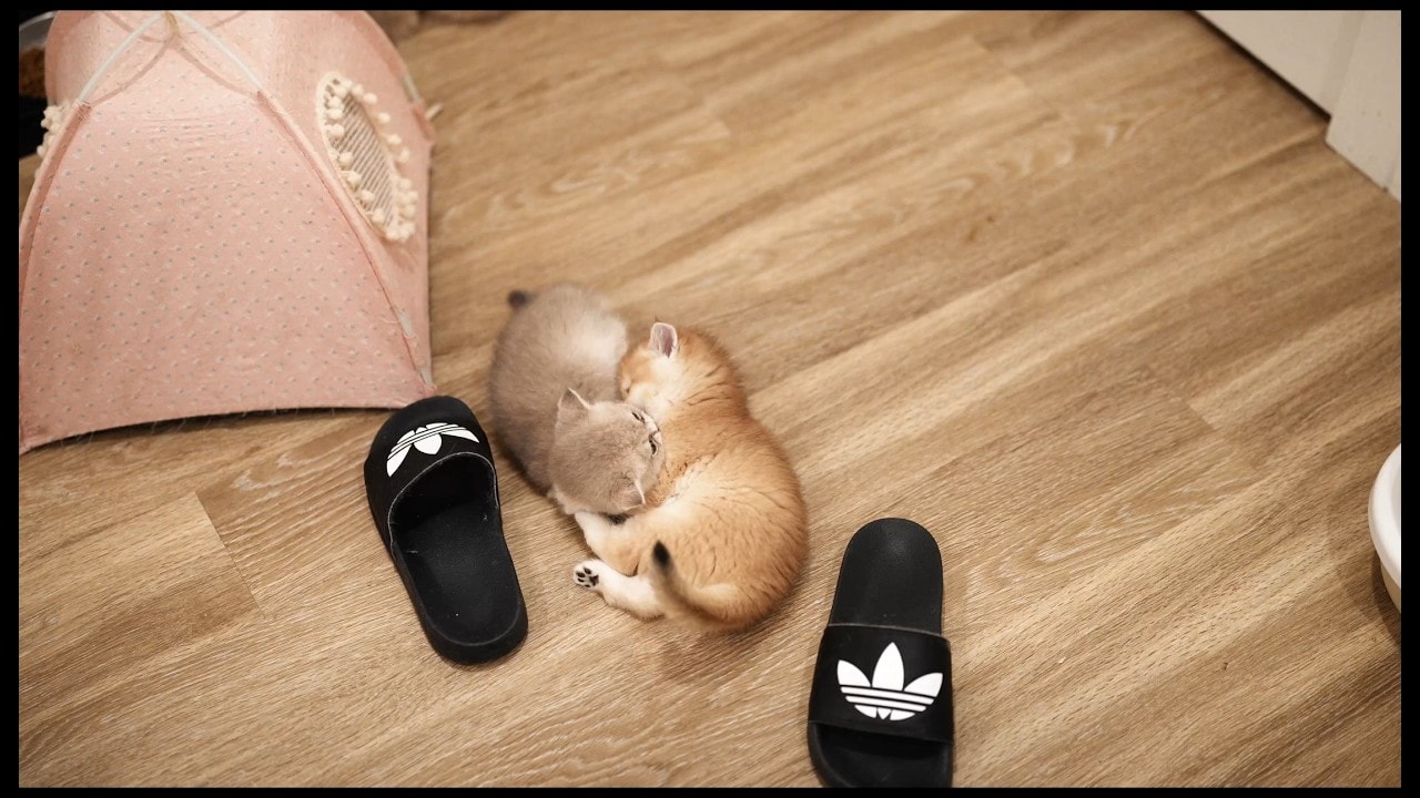 Siblings bonding time