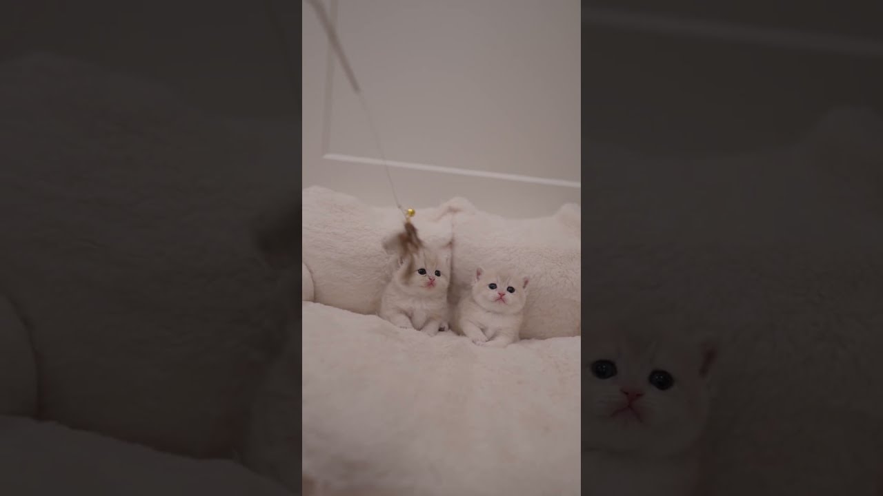 two low energy babies