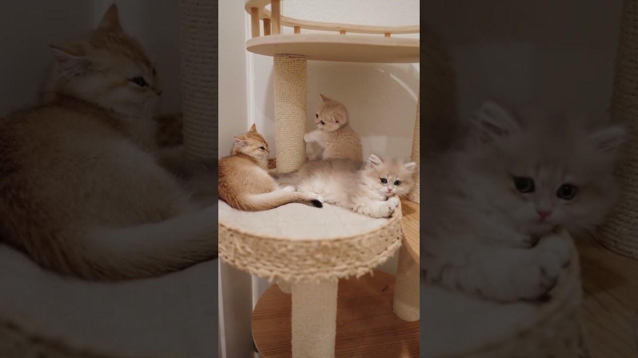 A very crowded spot