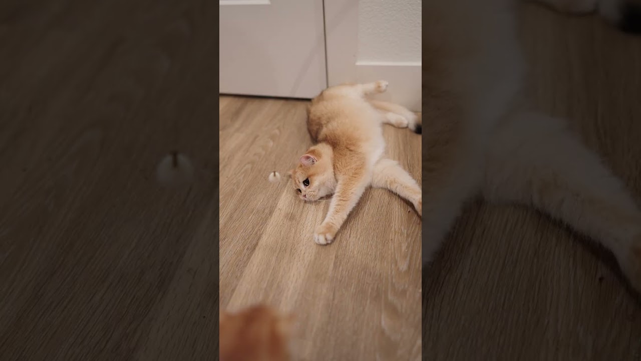 She’s a Mom… But Still a Baby
