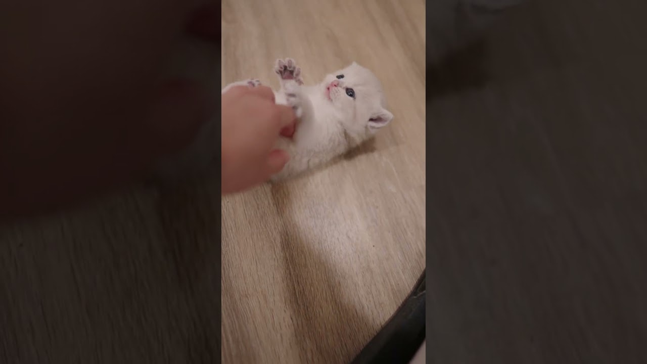 attention seeker at 1 month old