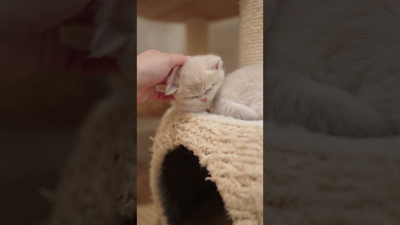 This Is My Therapy Now