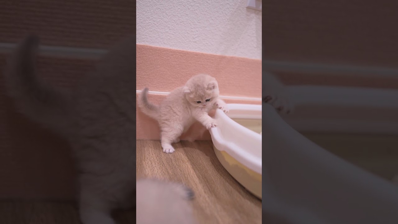 such a drama queen