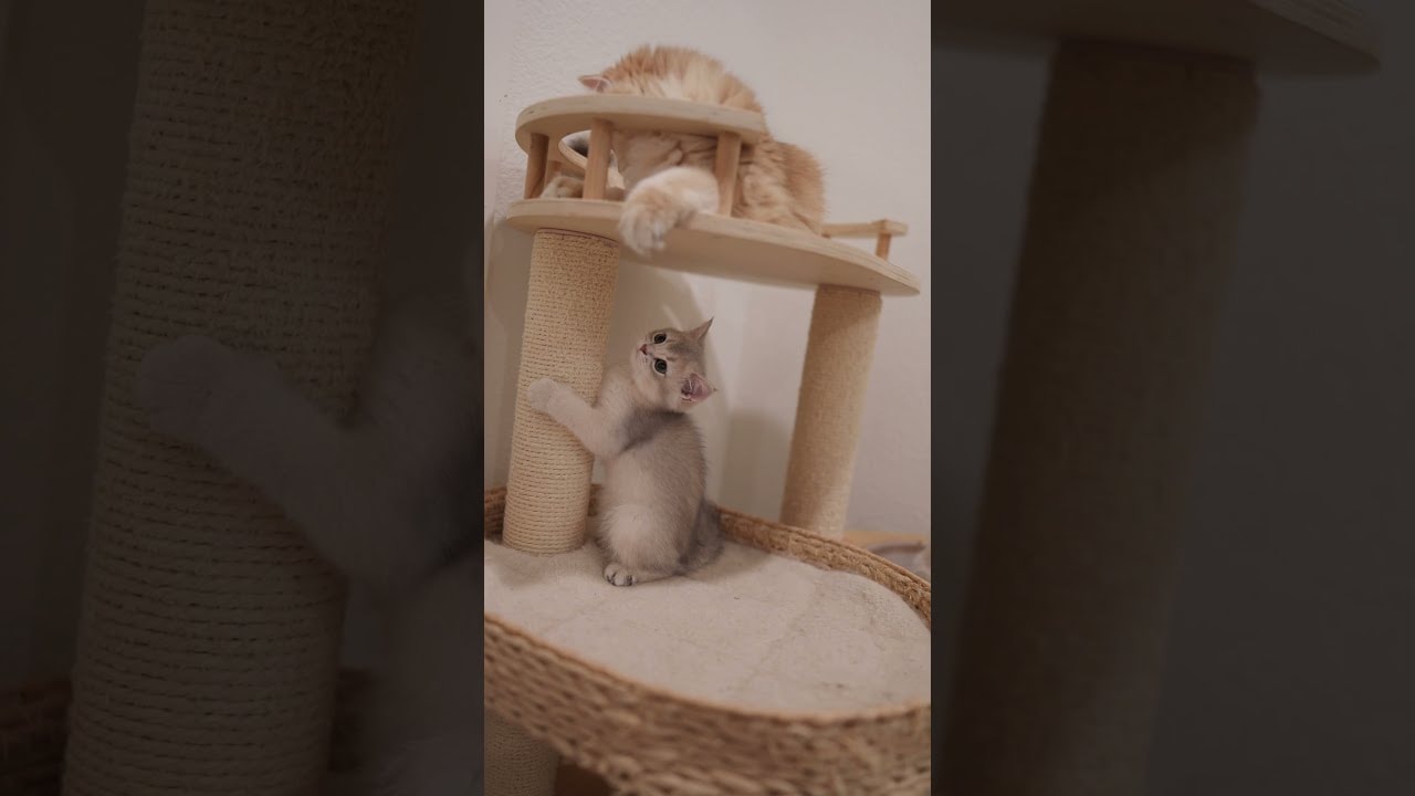 playing across floors
