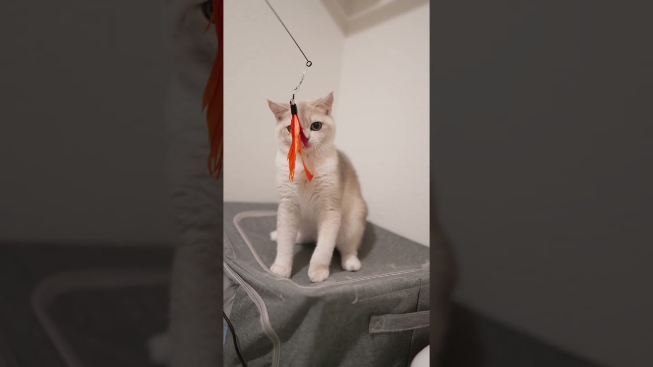 hunter mode activated