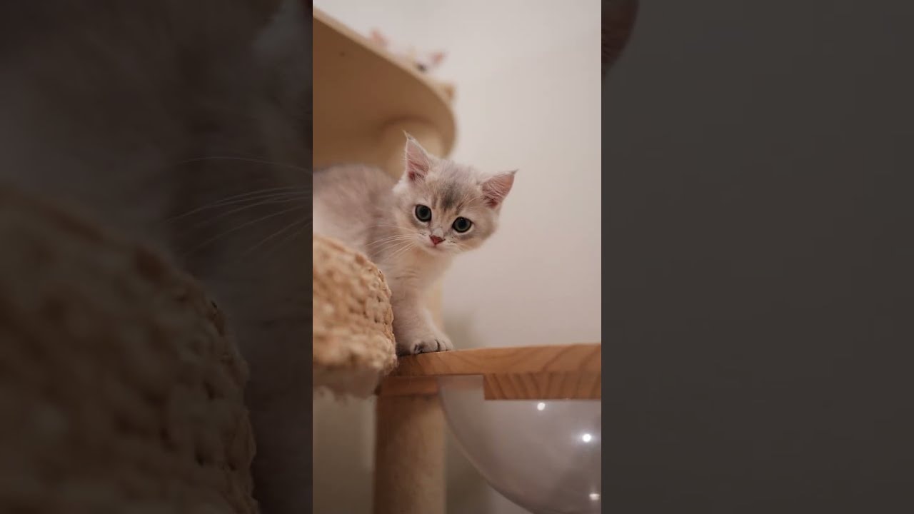 soft little baby