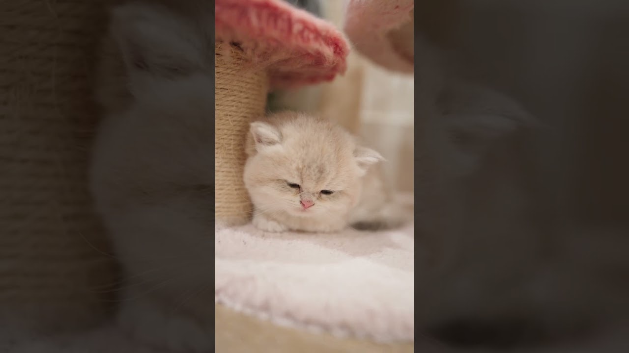fall asleep with me