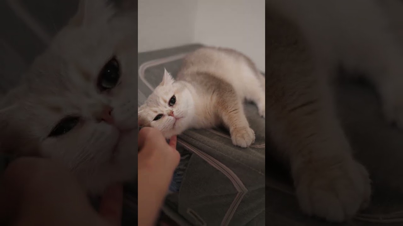 Mary is aggressively affectionate