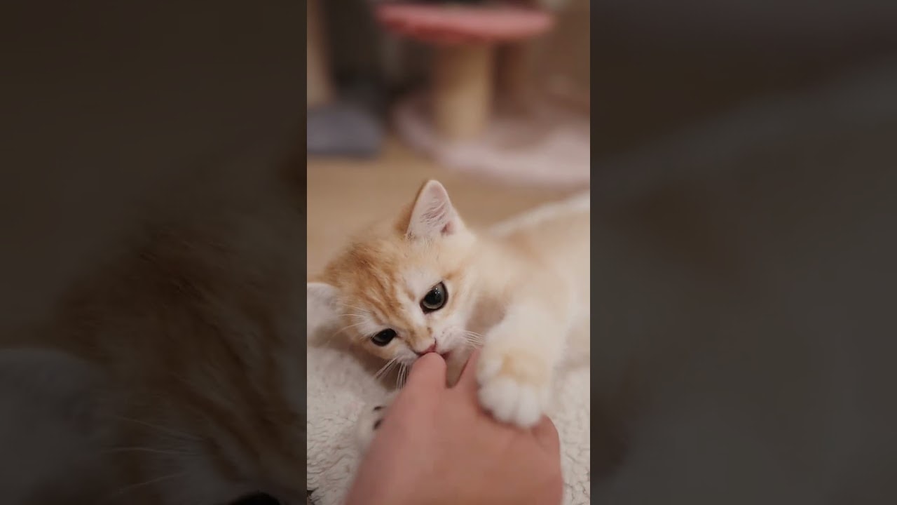 Pretty Sure She Loves My Fingers