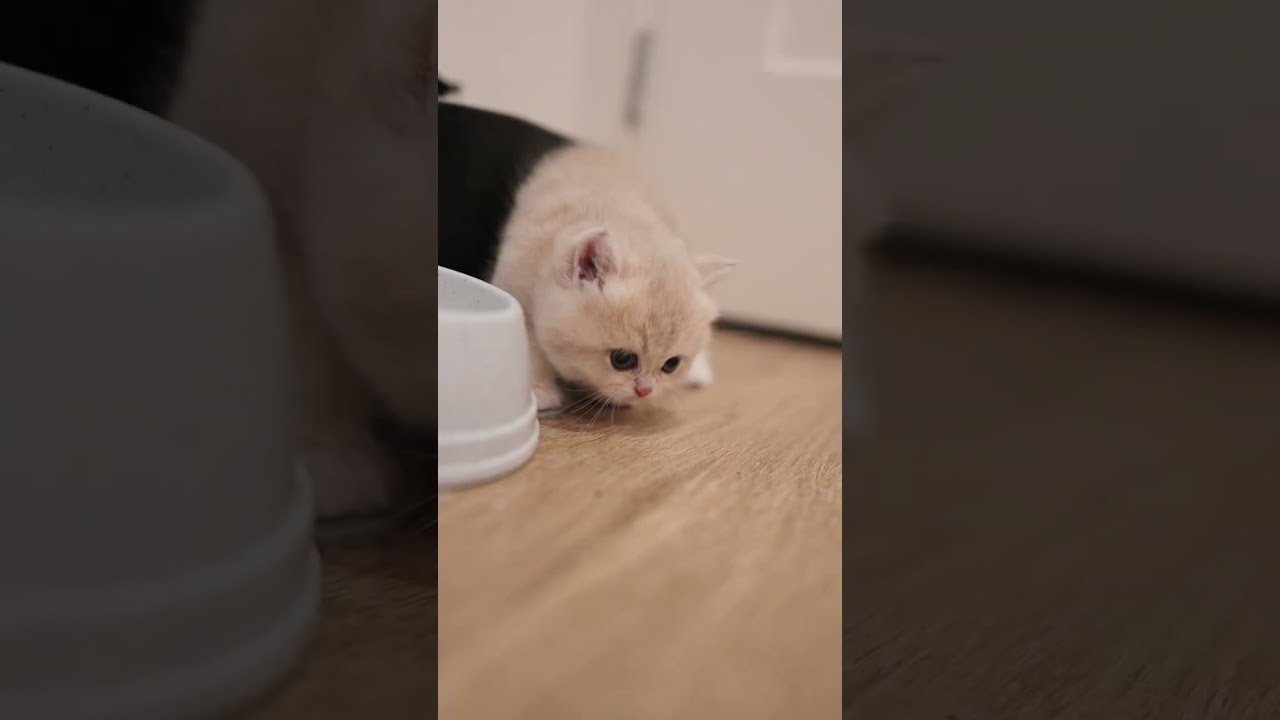 um...what is he doing