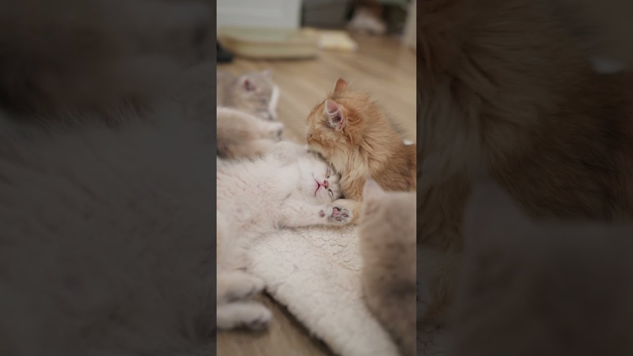 they are clearly very close