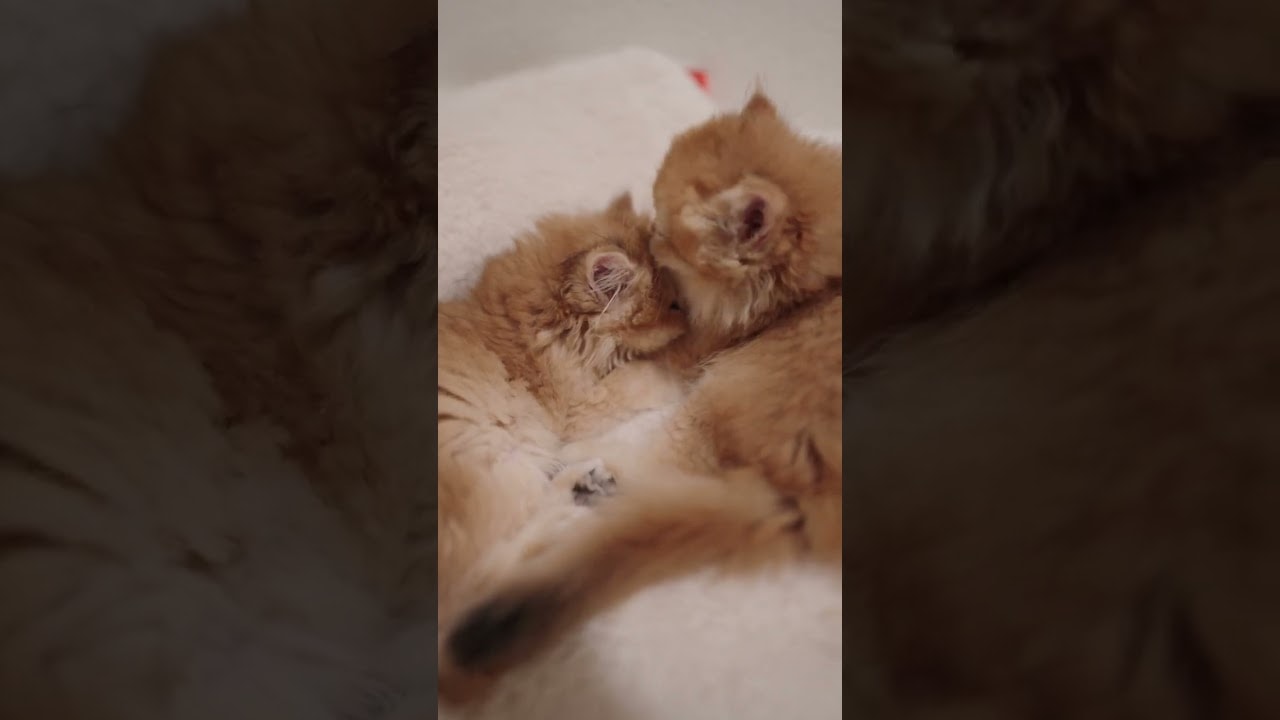 When Your Partner Won’t Leave You Alone