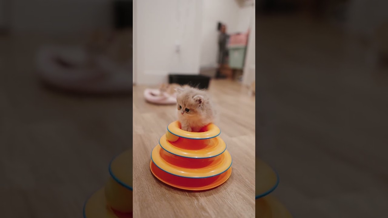He's really trying to fit into that hole